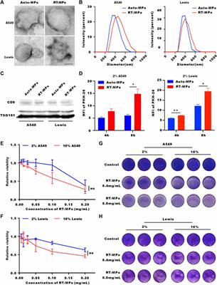Radiated tumor cell-derived microparticles effectively kill stem-like tumor cells by increasing reactive oxygen species